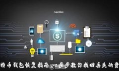   比特币钱包恢复指南：一