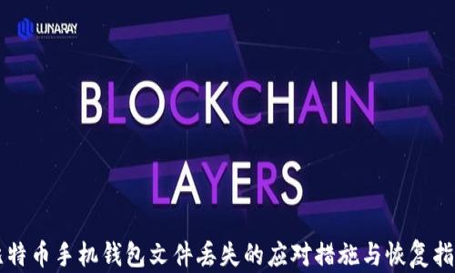 
比特币手机钱包文件丢失的应对措施与恢复指南