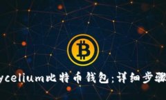 如何下载Mycelium比特币钱包