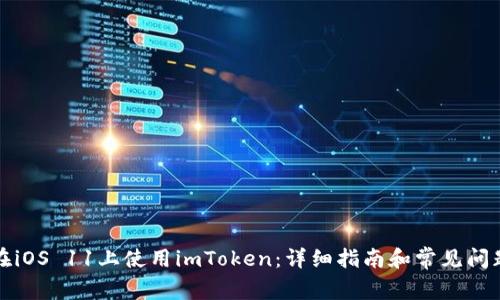 如何在iOS 11上使用imToken：详细指南和常见问题解答