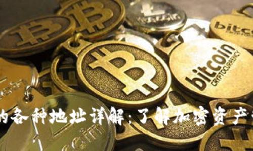 IM钱包中的各种地址详解：了解加密资产管理的核心