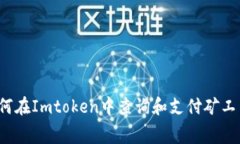 如何在Imtoken中查询和支付