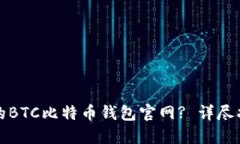 如何选择安全的BTC比特币