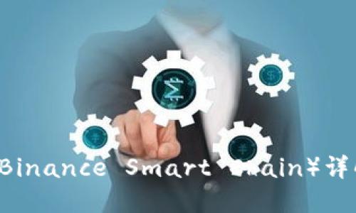 IM的币安链（Binance Smart Chain）详解与使用指南